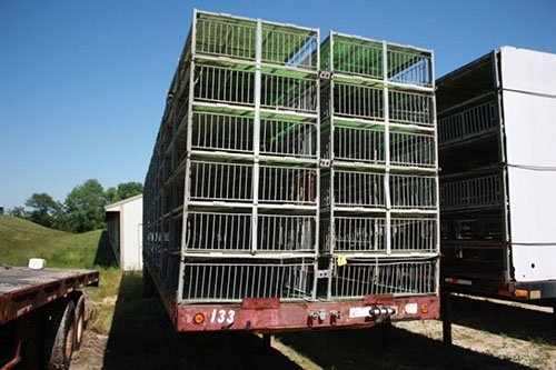 Property photo 14 - EQUIPMENT, REAL ESTATE & LAND AUCTION, ABSOLUTE 204+/- Acres Turkey Operation